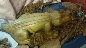 история о ветлугозавре часть 26