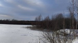 день в СНТ 4