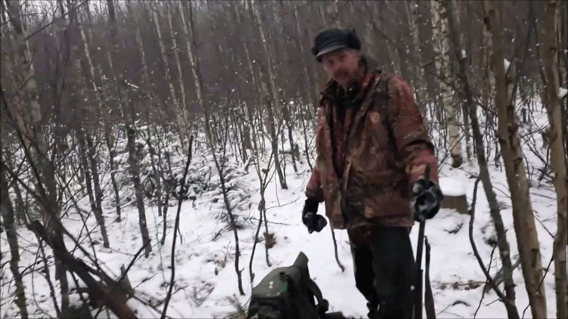 Волчица вышла на гон (архивное видео 2017г., нашёл на старой флешке)