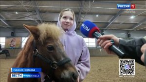 Лошадь на смену Змее