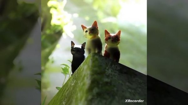 (Видео с пинта) p.s я прошёл ее🙁😕