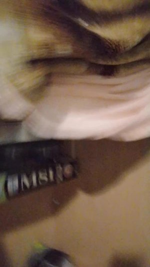 помогите пж