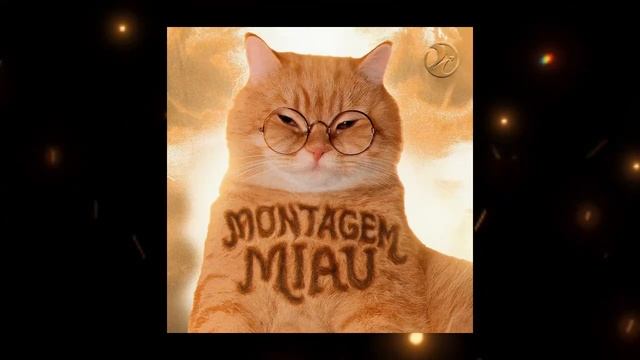 TOP 10 MOST VIRAL PHONK FUNK 2025
