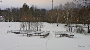 2026/2/15: Два лося у зелёного пляжа Лесного пруда в темноте в начале 7-го часа вечера воскресенья