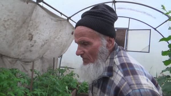 ТАКОЙ ДЕРЕВЕНСКИЙ БЫТ. ТЕПЛИЦА, ПОГРЕБ, РЫБА, КУХНЯ