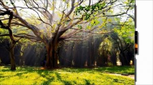 Ян Лещенко - Прогулка в детство