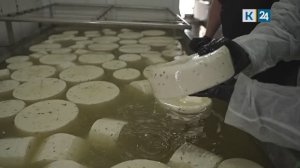 Мир сельского хозяйства. №92 Сыр