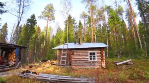 Охочусь в местах где живёт медведь. У Тулана осталось три лапы. 11 серия