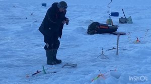 Некоторые поимки после запуска