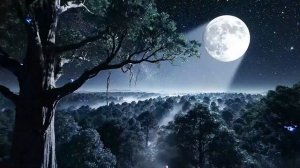 Лесной страж. Успокаивающая кельтская музыка для заблудившегося и одинокого путешественника