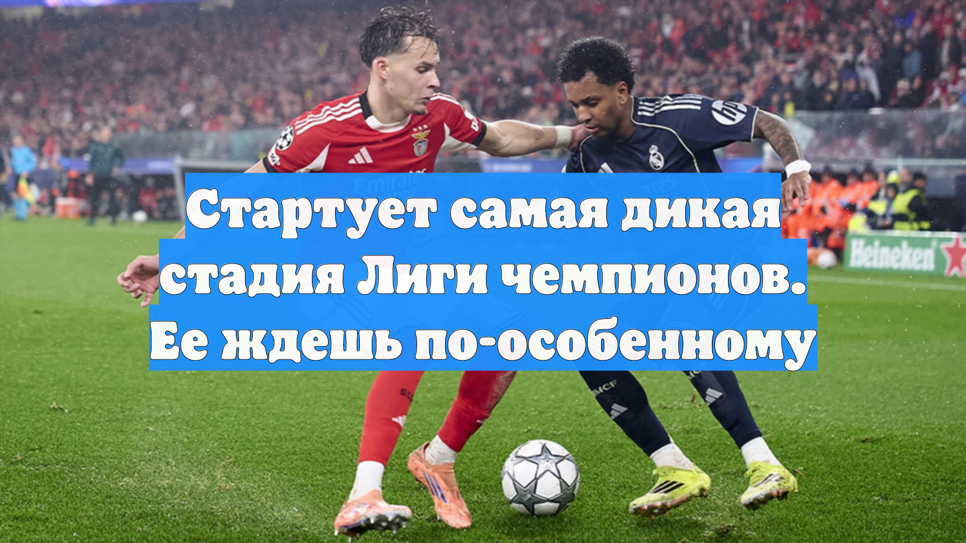 Стартует самая дикая стадия Лиги чемпионов. Ее ждешь по-особенному смотреть онлайн
