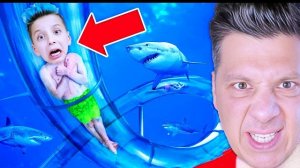 ДАВИД VS ПАПА Челлендж ! Кто ПОБЕДИТ?