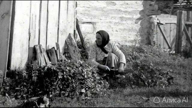 Оживление фотографии №153