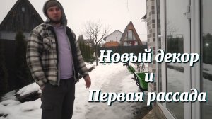 Алик и Аня. Новый декор и первая рассада.