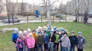 День Берёзки. Мероприятия в ДОУ.