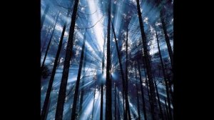 НЕ ОБМАНИТЕСЬ