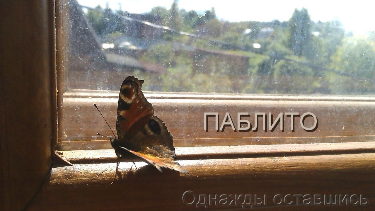 Паблито - Однажды оставшись смотреть онлайн