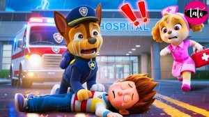 Щенячий патруль и Маршалл. Залипательное видео. Мультфильм для детей и малышей. Анимация 248