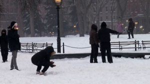 Обычный снегопад или катастрофа_ Как Нью-Йорк снегом замело.