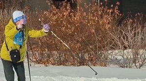 Лыжня России