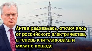 Литва радовалась, отключаясь от российского электричества, а теперь капитулировала и молит о пощаде