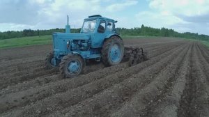 Ежики для прополки картофеля