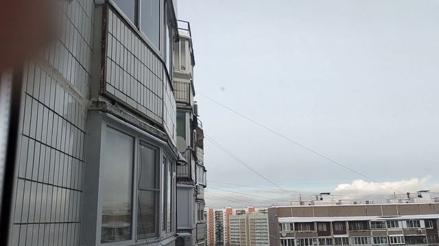 Кошка на охоте😄😻 смотреть онлайн