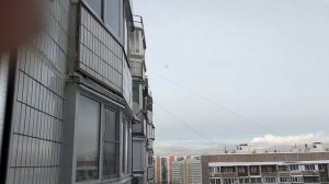 Кошка на охоте😄😻