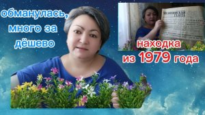 Погоня за дешёвым / клад в старом шкафу