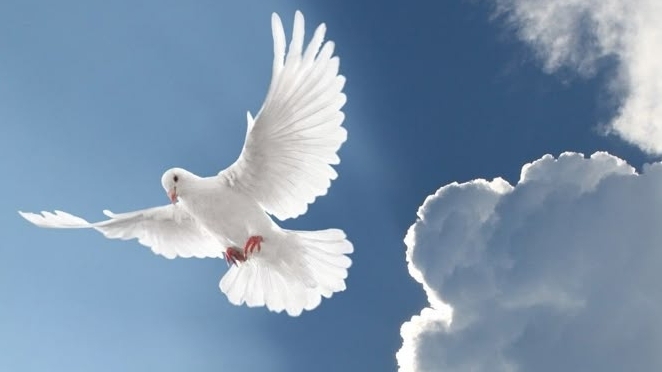 Селяночка. Валюша...