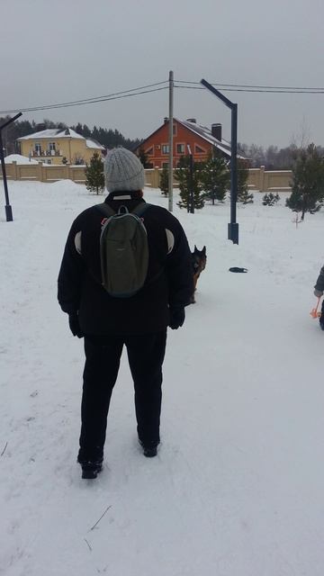 Как научить собаку команде МЕСТО.