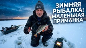 Маленькая приманка ЛОВИТ в этих лунках Рыбалка на балансир зимой