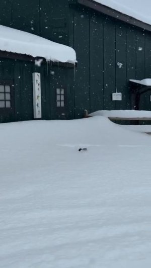 Подзорная труба