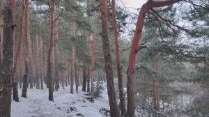 Планирование. Рабы мозга