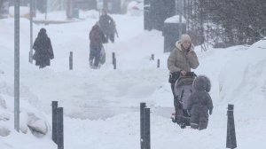 Метели не перестают засыпать Москву сугробами. Коммунальные службы работают в усиленном режиме