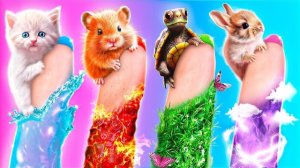 МЫ СПАСЛИ БЕЗДОМНЫХ ЖИВОТНЫХ И ПОСТРОИЛИ ИМ ДОМИКИ