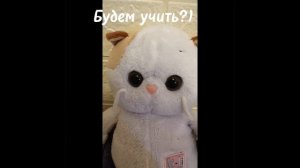 УЧИМ РЕБЯТКИ УЧИМ!