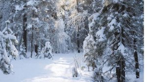 Зимний день .