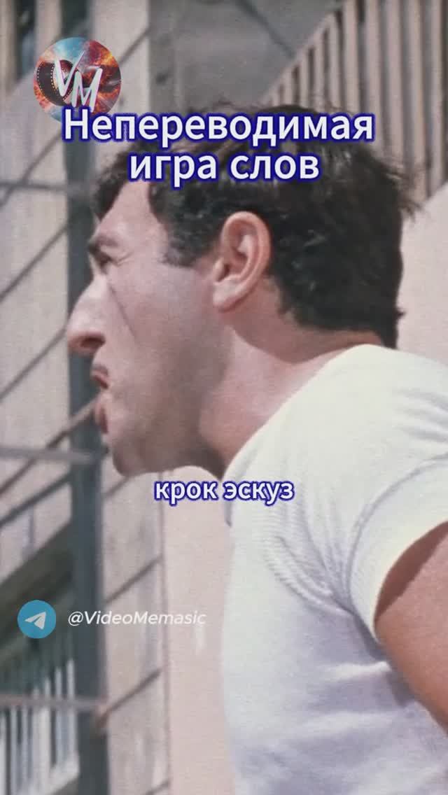 Непереводимая игра слов