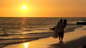 Цветы - "Летний вечер"