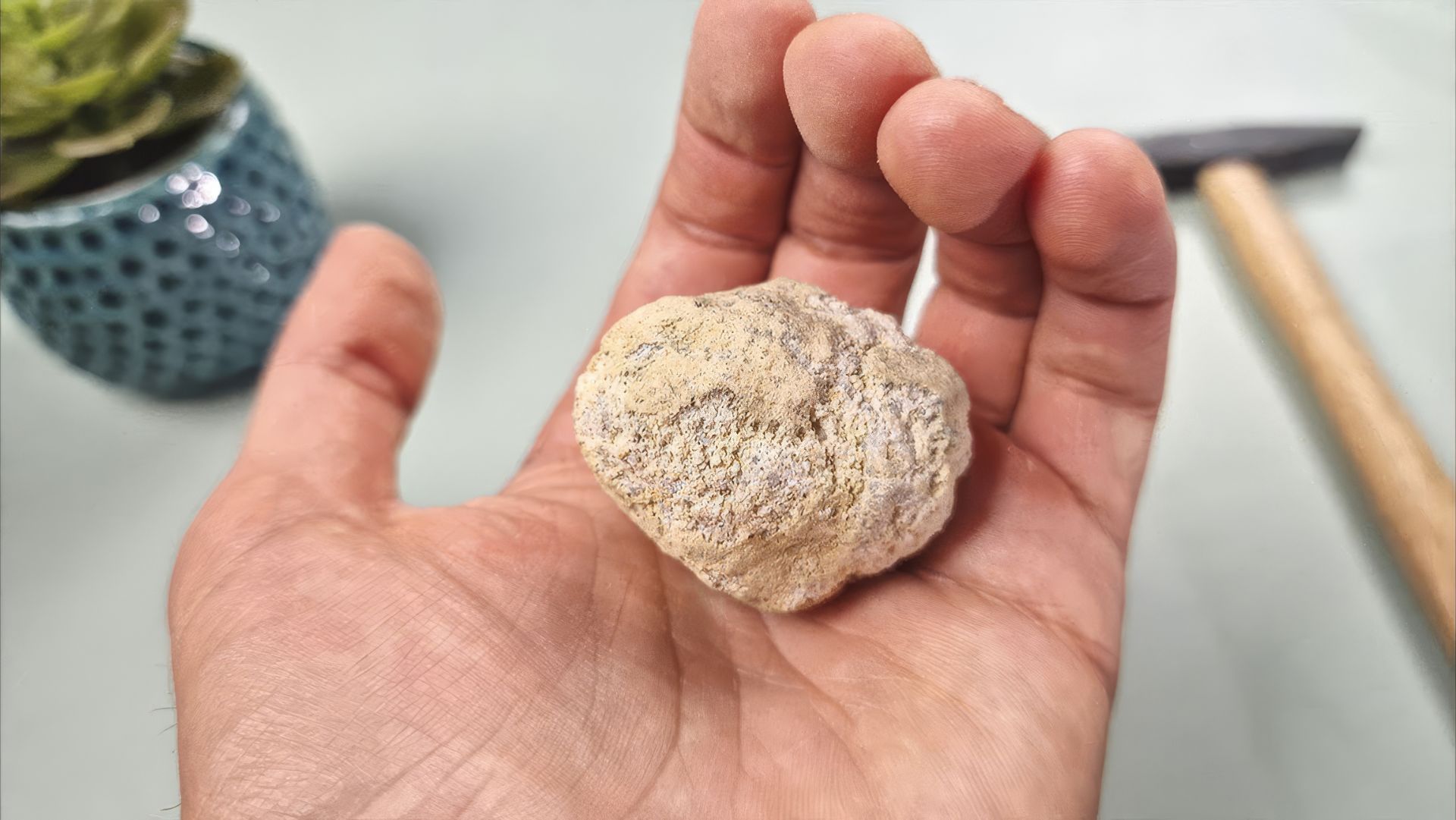 ВОТ ЧТО МЫ КУПИЛИ НА ALIEXPRESS смотреть онлайн