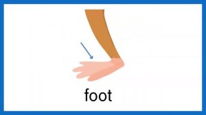 Academy Stars 1 Unit 7. Long legs, short legs