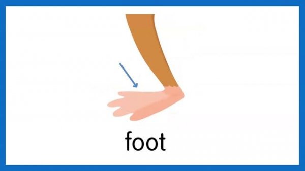 Academy Stars 1 Unit 7. Long legs, short legs