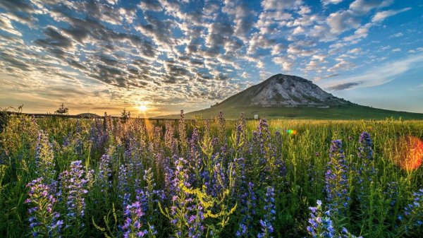 АЛЛО-БАШКИРИЯ-102REGION
