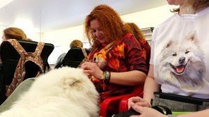 ПУШИСТЫЙ СТИЛЬ, 17.02.2026