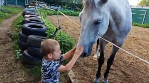 Дети и лошади