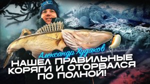 Техника поиска и ловли судака на вибы в корягах. ПОДВОДНАЯ СЪЕМКА и РЫБОЛОВНЫЕ ЛАЙФХАКИ