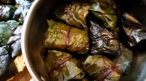 Долма в свекольных листьях