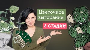 Цветочное выгорание: стадии и цикличность
