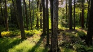 Расторжение контракта